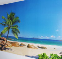 Komar,National Geographic, Seychellen,4 006